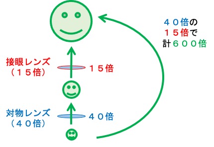 質問 中学 理科 顕微鏡の拡大倍率はどのように考えればいいですか オンライン無料塾 ターンナップ