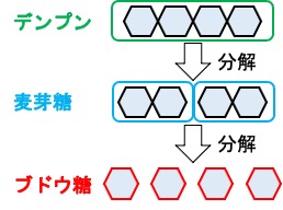 デンプンの分解