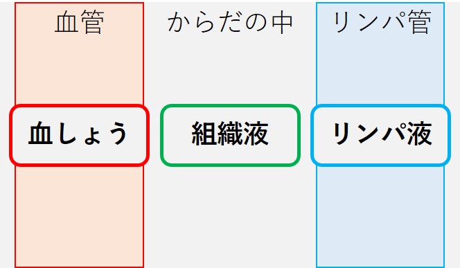 組織液