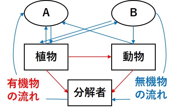 酸素と二酸化炭素の循環