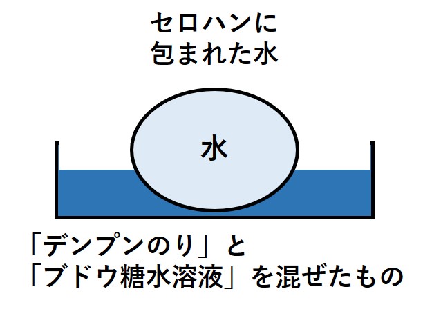 セロハン１