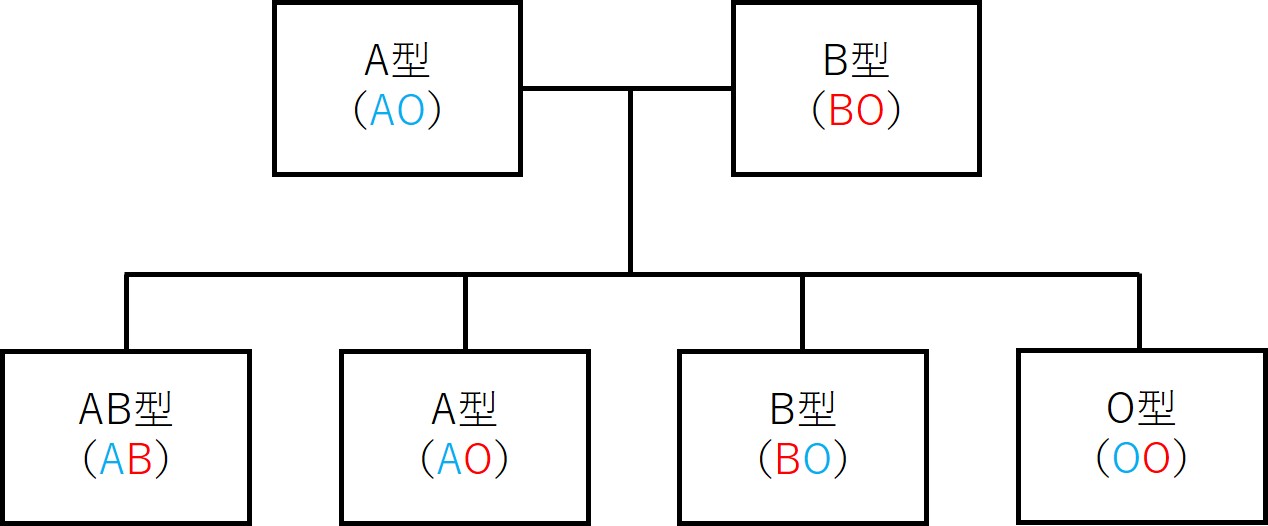 血液型