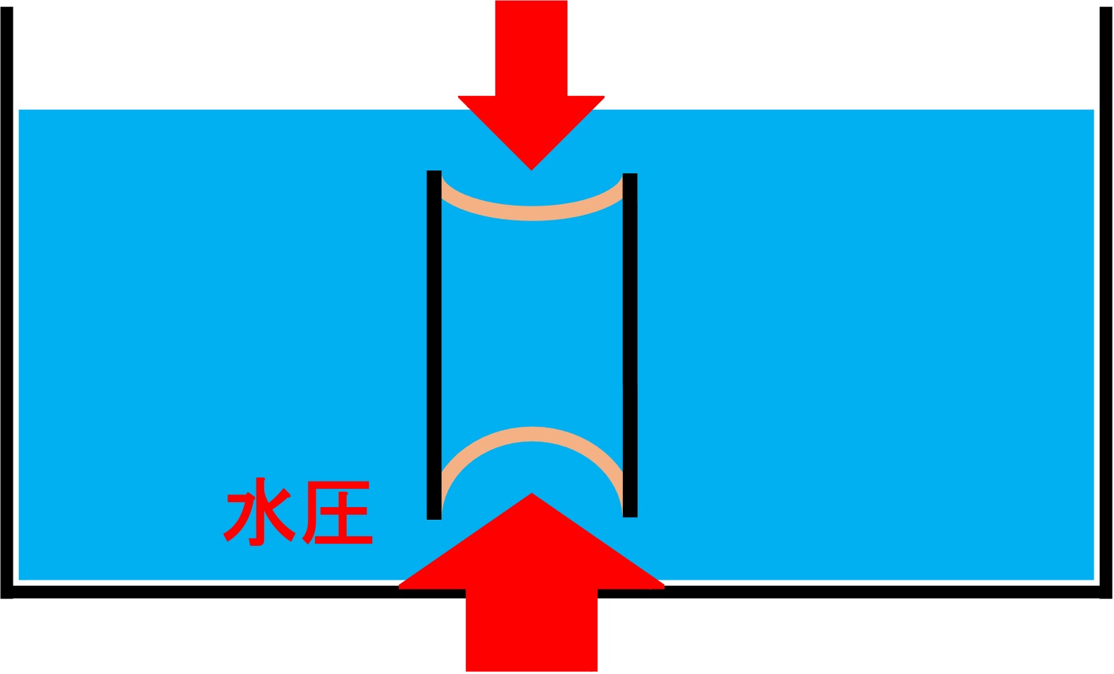 ゴム膜（上下）