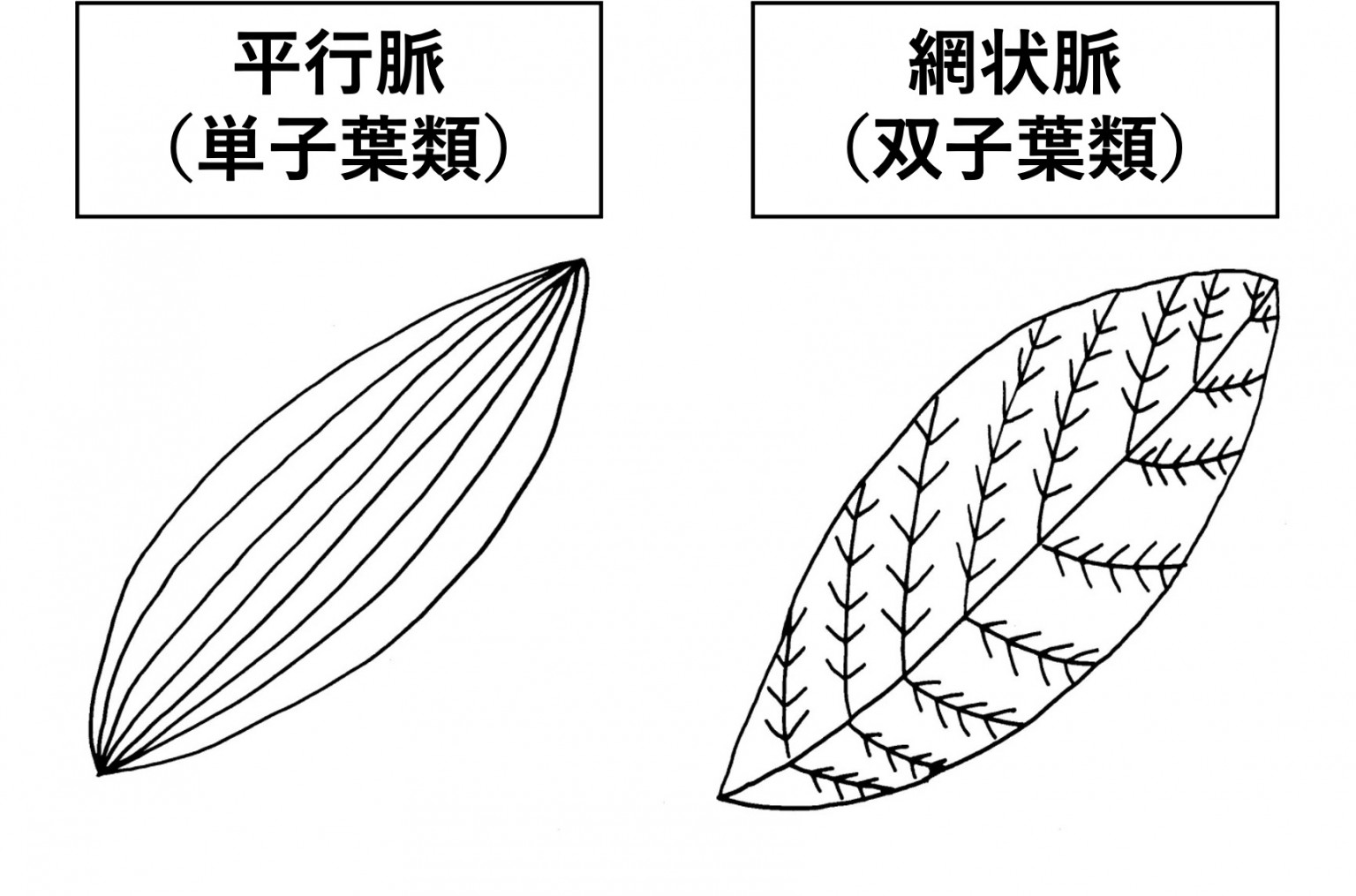 脈図の見方(浮沈): 浮沈脈 種類 | memo49【経絡治療】虚の脈のとらえ方|ATだーせん – YBCOPG