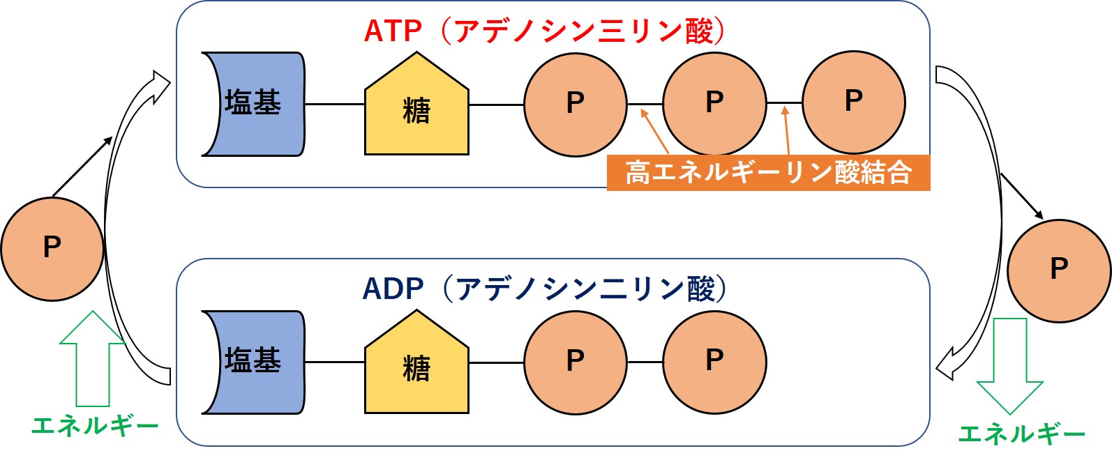 ATPとADP