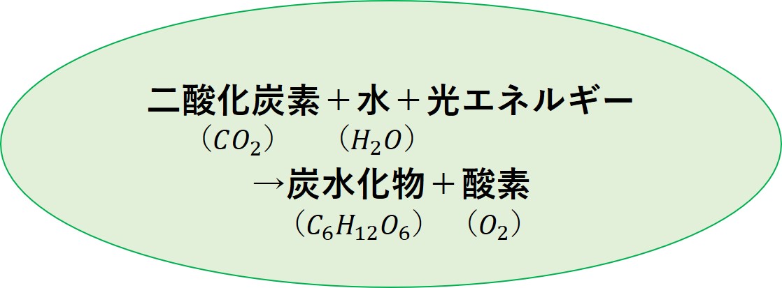 光合成の模式図